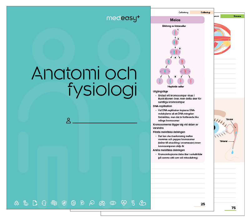 Anatomi- och fysiologiboken